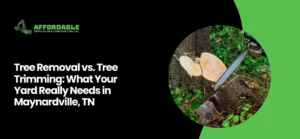 Tree Removal Maynardville, TN