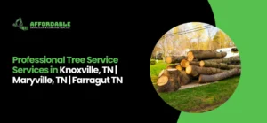 Tree Service Services