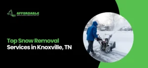 Snow Removal Services