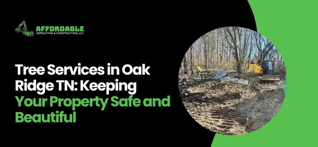 Tree Service Oak Ridge TN